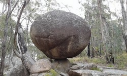 5204 Girraween National Park