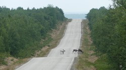 108 Karigasniemi bis Inari