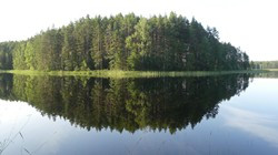 245 Voriniemi