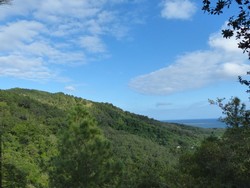 1013 Aussicht auf Guanaja