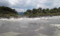 3003 Hells Gate Park