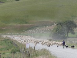 3009 Gabriels Gully