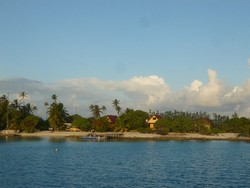 2010 Rotoava
