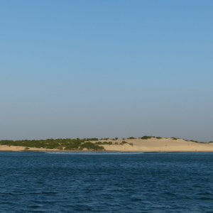 49-Boavista