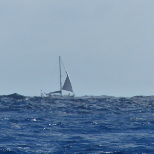 79-ein-Segelboot-auf-der-ganzen-Ueberfahrt