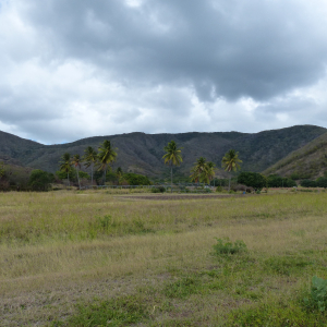 212-Antigua