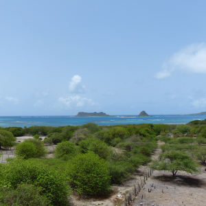 94-Carriacou-Aussicht-aufs-Meer