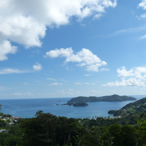 84-Little-Tobago