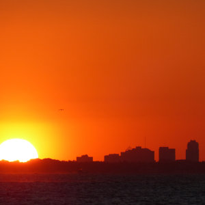 24-Miami