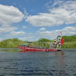 42-The-Everglades