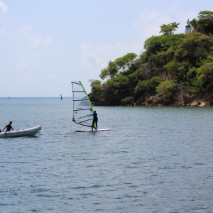 292-Iris-Windsurfing