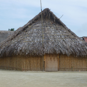 119-Porvenir