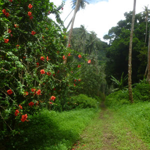 59-Fatu-Hiva