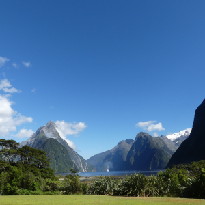 1390- Milford-Sound