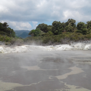 385-Hells-Gate-Park