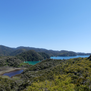 642-Tour-Marahou-Anchorage-Bay