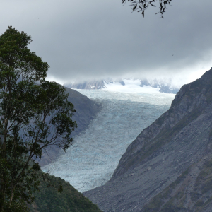 840-Fox-Glacier