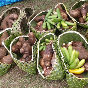 68-Fest-Niue