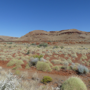 1803-Karratha-bis-Phyton-Pool 