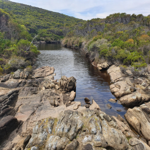 74-Snake-Lagon-Hike