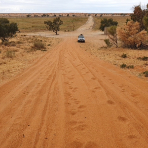 295-Birdsville