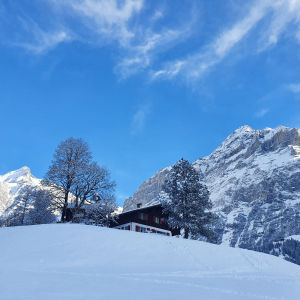 177-Grindelwald