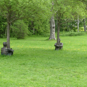 269-Umedalens_Skulpturpark