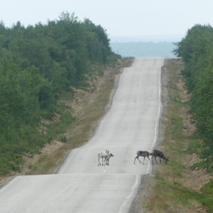 108-Karigasniemi-bis-Inari