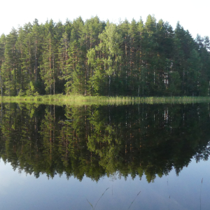 245-Voriniemi