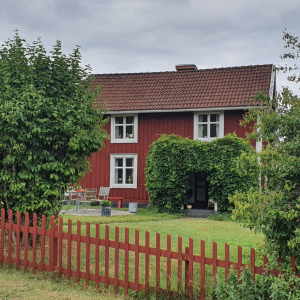 527-Näs