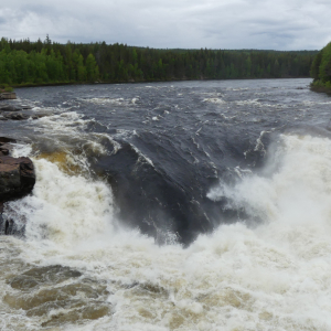 298-Jockfall