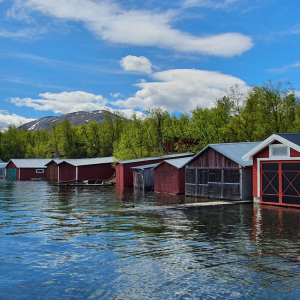 333-Abisko