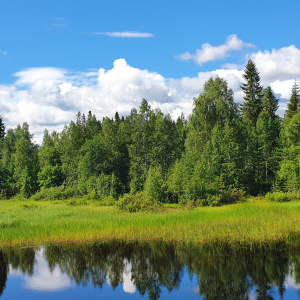 197-Jokikylä