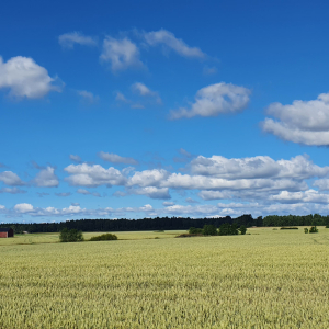 331-Pinjainen-Camping